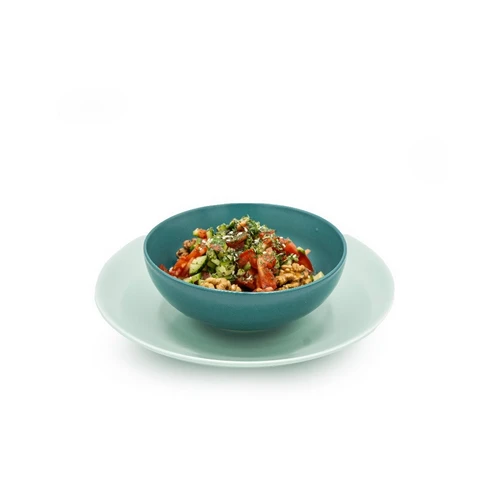 سالاد شیرازی